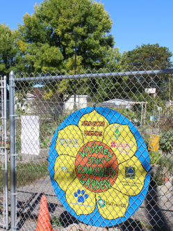 Whitney Street sign web